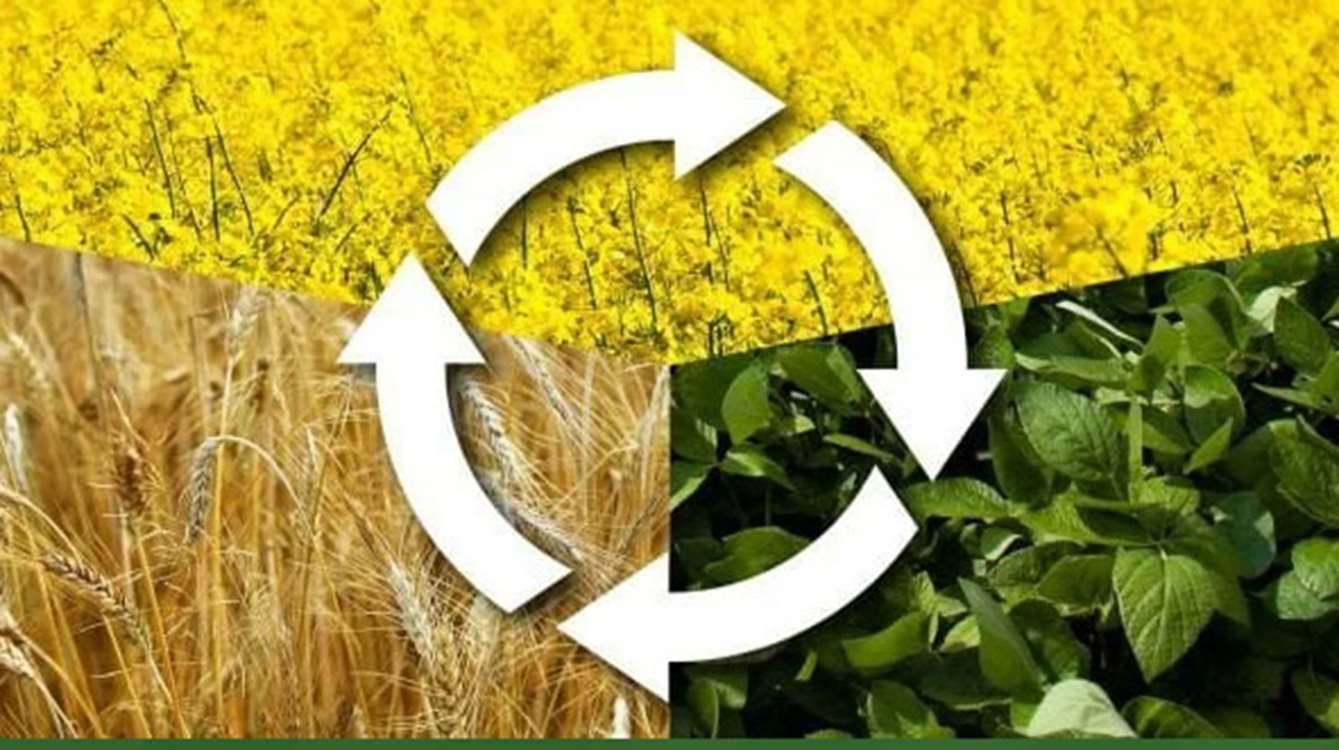 خاک‌ورزی مرسوم، تهدید منابع پایه و بهره‌وری پایدار تولید/ روش‌های نوین خاک‌ورزی اجرایی شود